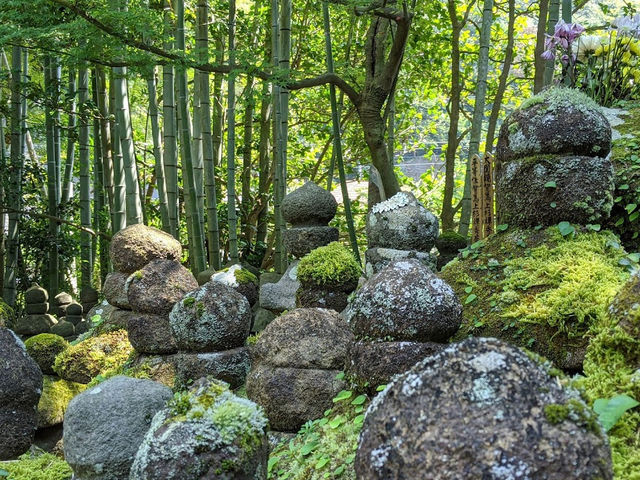 【報国寺境内】