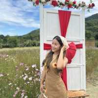 เที่ยวคาเฟ่ Theme คริสต์มาสที่ Margaret Cafe