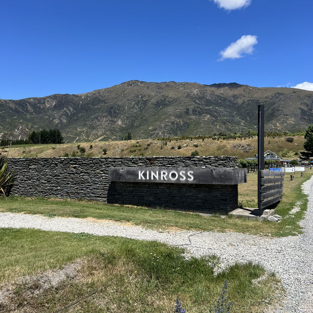 Wine Valley Tour and Excellent E-bikes! 
