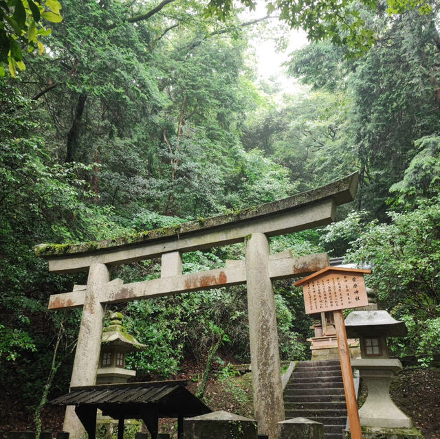 金刀比羅宮：心靈洗禮的旅程