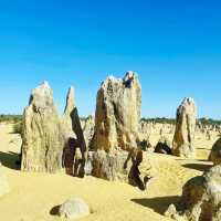 A Magical New Year at The Pinnacles: Western Australia’s Natural Wonder 🇦🇺