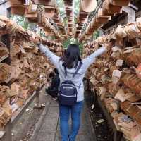 เที่ยวคาวาโกเอะ Kawakoe