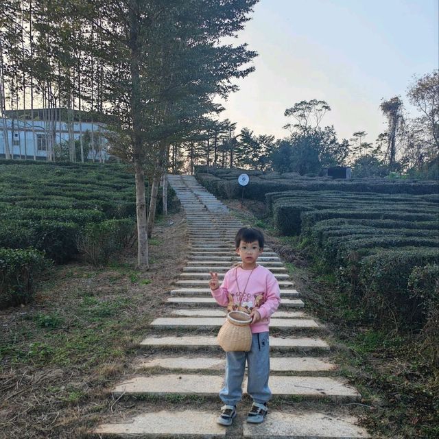 惠洲慢享欖園一個適合親子的民宿