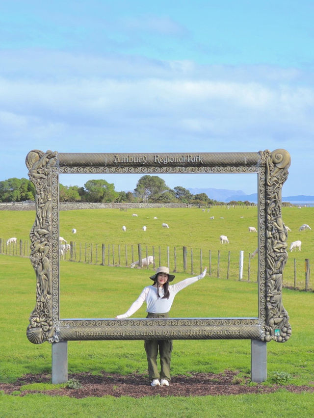 【New Zealand】オークランドで自然も街も楽しもう🌿