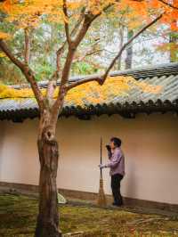 京都楓葉王國！我只服東福寺🍁