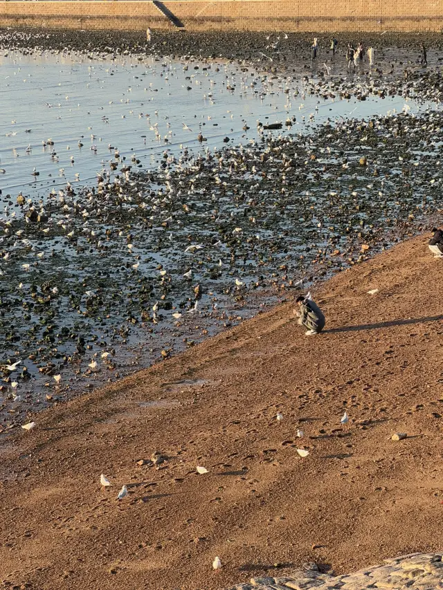 🇨🇳잔교에서 일출보기