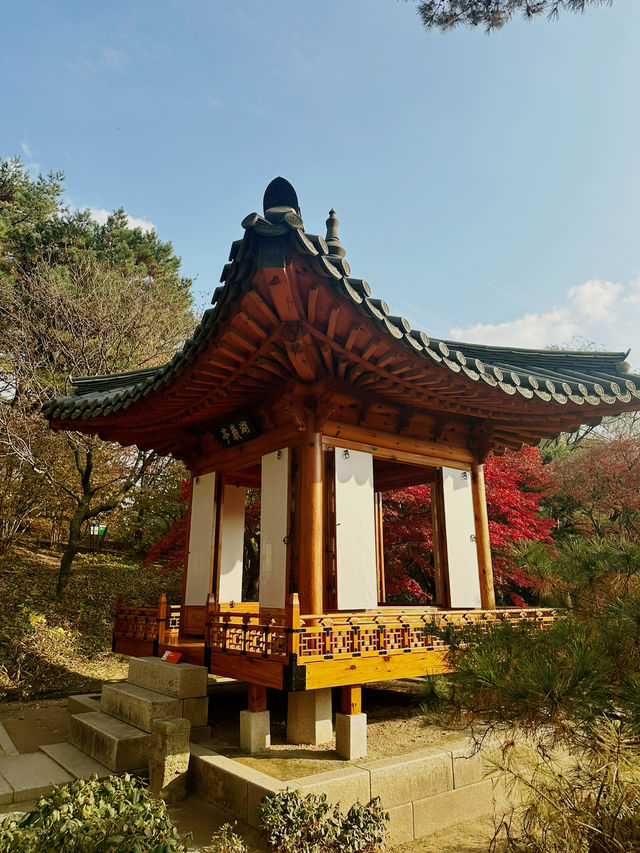 가을 정취가 물씬 풍기는 용인 가볼만한 곳  ‘호암미술관’ 🎨