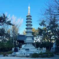 Serenity by the Sea: A Visit to Yonggungsa Temple 🇰🇷