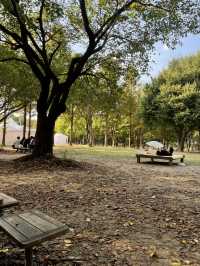 💚자연속 힐링 서울숲🌳