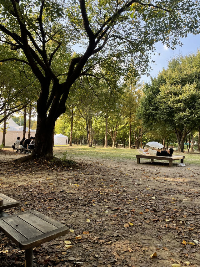 💚자연속 힐링 서울숲🌳