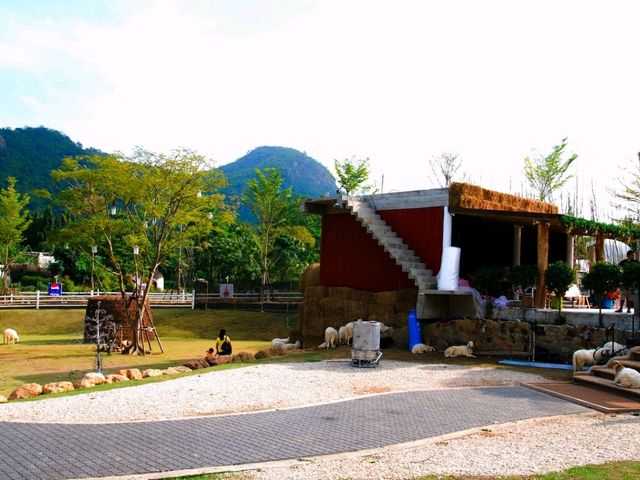 เดอะ ซีนเนอรี่ วินเทจ ฟาร์ม เที่ยวสวนผึ้ง ราชบุรี