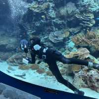 沖繩美麗海水族館