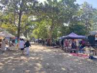 ตลาดหนองฮ่อ ที่เที่ยวสไตล์คนคูล ๆ เชียงใหม่