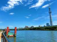 隅田公園：東京行程中的悠然綠洲與水岸之趣