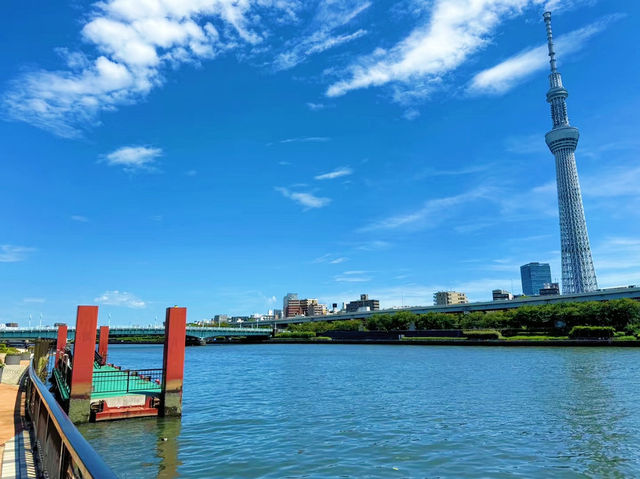 隅田公園：東京行程中的悠然綠洲與水岸之趣