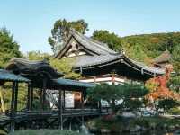 Kodaiji Temple 