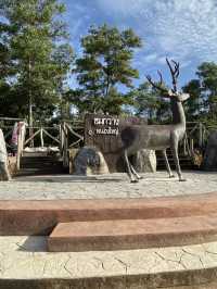 สะพานชมกวาง 🦌