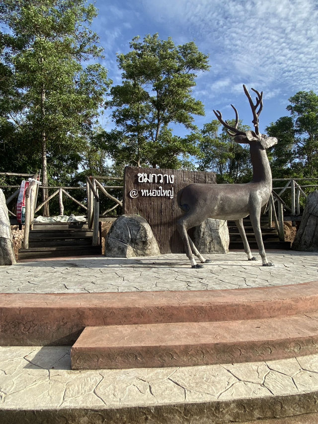 สะพานชมกวาง 🦌