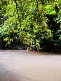 Rafing In Ayung River Bali by Pertiwi Adventure 🛶
