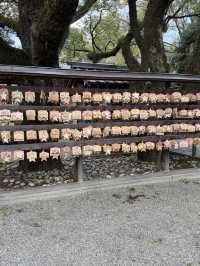 The Incredible Atsuta Jingu Shrine, Nagoya’s historical gem 🏰 🇯🇵 🏯🗾