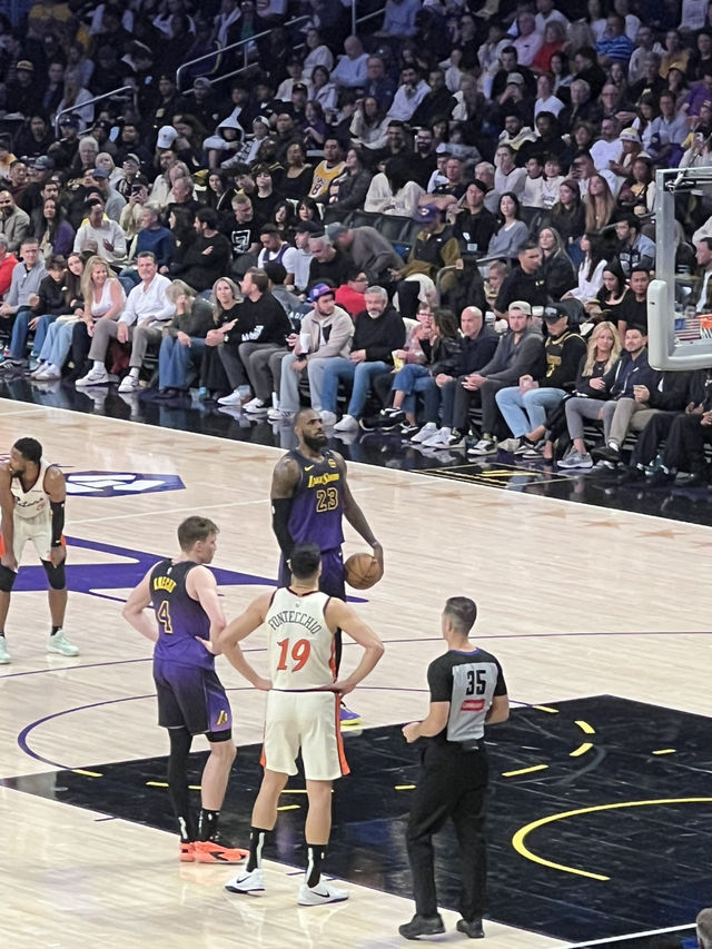 Mamba Forever 🐍～一日湖迷、終身湖迷
