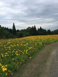 【天国は大分にあった！】