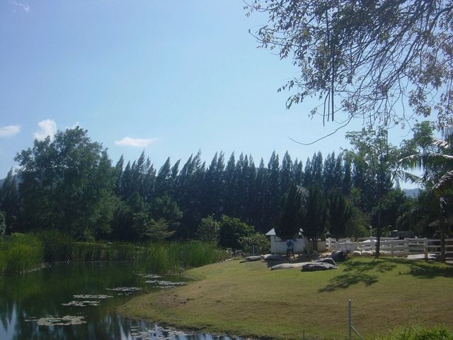 Bucolic Khao Yai คาเฟ่บรรยากาศดีที่เขาใหญ่