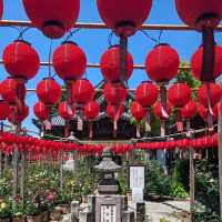奈良🦌橿原　おふさ観音　提灯まつり🏮
