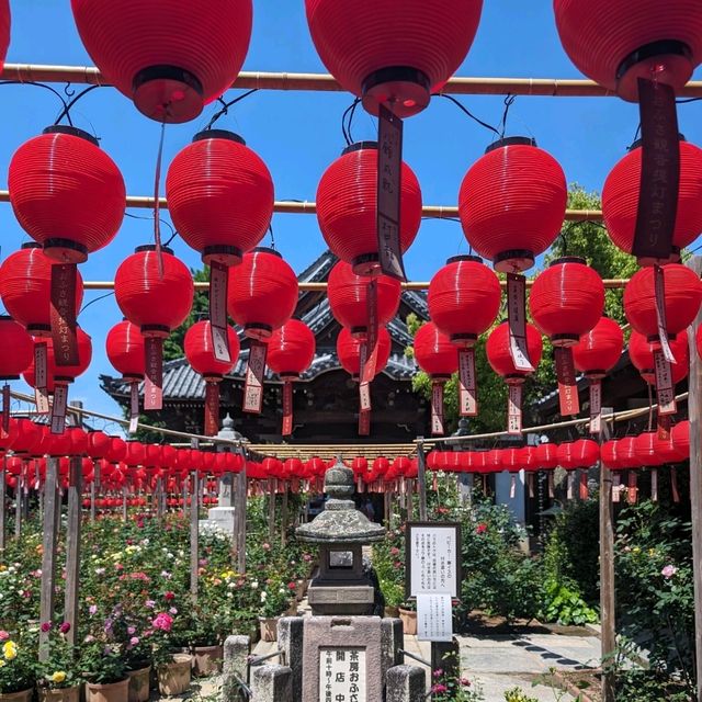 奈良🦌橿原　おふさ観音　提灯まつり🏮