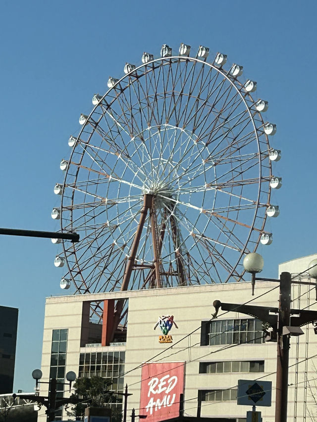 絶対に行って欲しい鹿児島2日感の旅行体験！　
