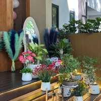 So Into cafe & eatery, เชียงใหม่ 🌸🌼🪻