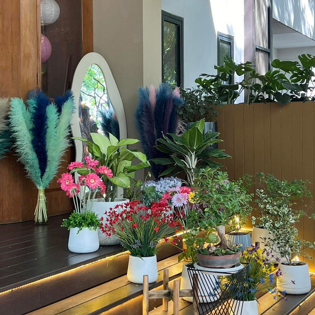 So Into cafe & eatery, เชียงใหม่ 🌸🌼🪻