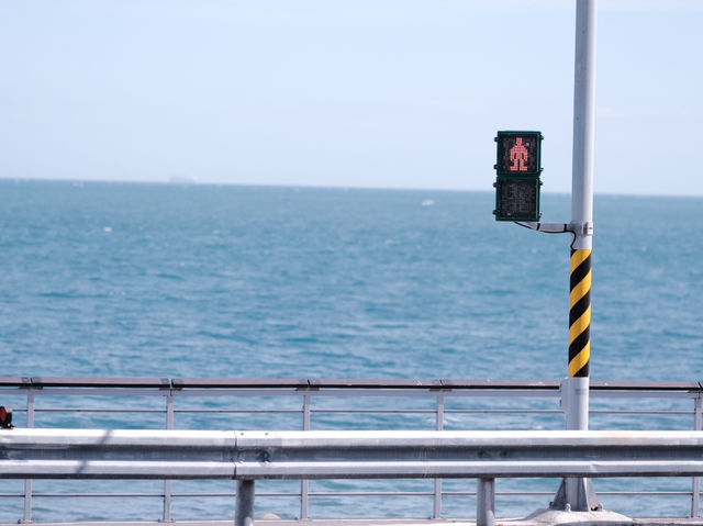 隱藏於北海岸的秘境美景：跳石海岸參訪體驗