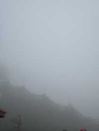 A trip in Vietnam!