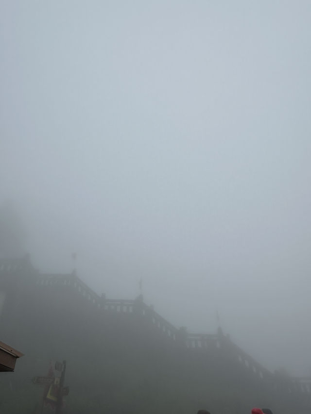 A trip in Vietnam!