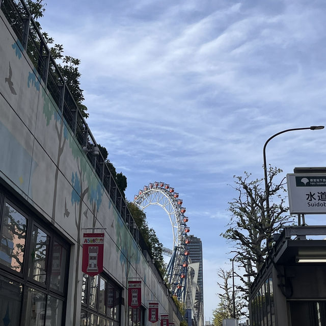 뉴진스, 에스파도 왔다간 도쿄돔과 도쿄돔시티‼️ 🎡⭐️