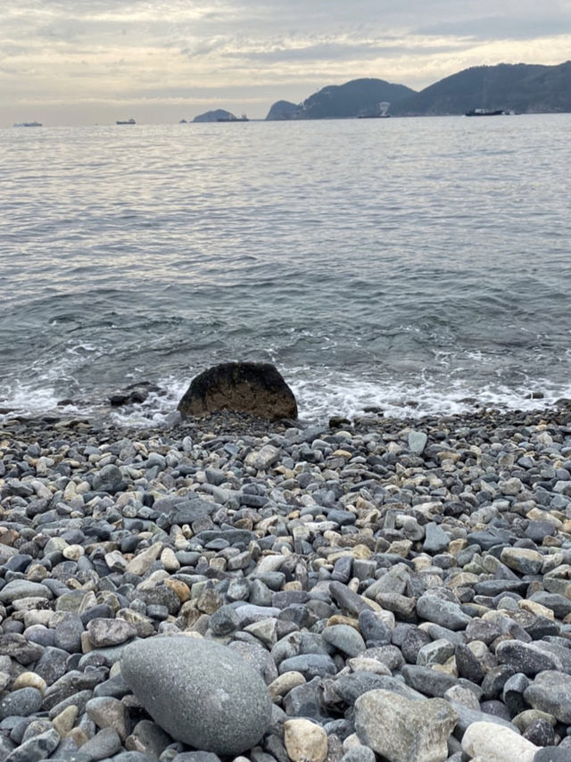 🏝️힐링하러 부산 영도로 떠나요~🌊