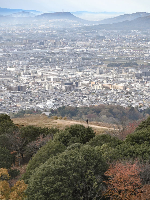 【奈良】気軽に登れて絶景！若草山
