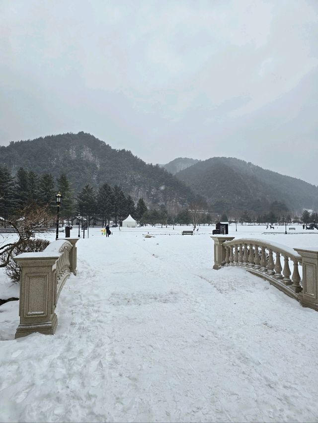 실시간 눈내리는 평창 유럽 정원🤍