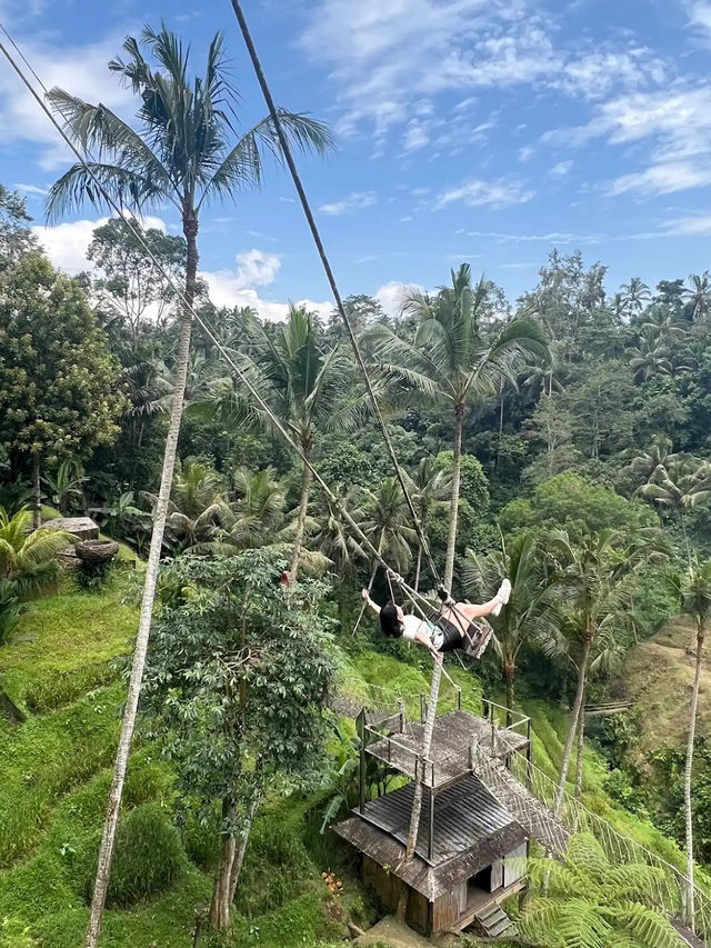 Ceking Rice Terrace