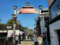 鶴岡八幡宮 遠離大都市煩囂最佳目的地!! 真的巨出片😻😻