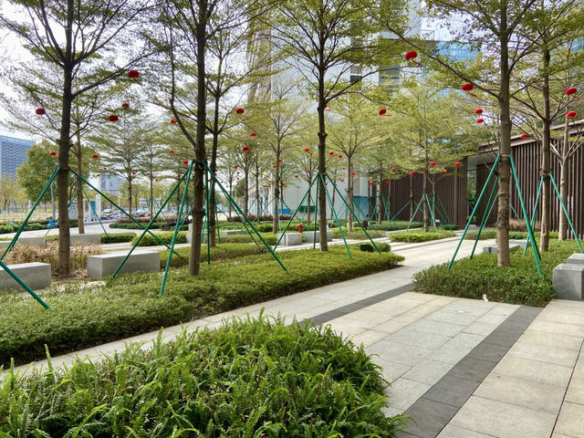 🌟深圳·月見國際酒店公寓🏨如家般的住宿入住體驗🥰