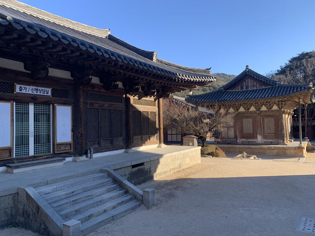 겨울이 깊어지면 고요하고 평화로운 느낌이 드는 곳, 통도사