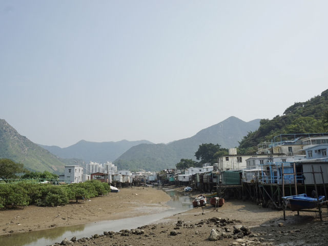 Venice of Hong Kong: A Journey Through Tai O Fishing Village