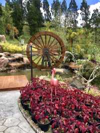 Evergreen Elegance: @Betong WF Garden