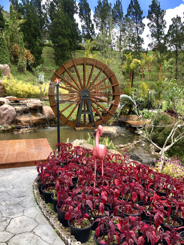 Evergreen Elegance: @Betong WF Garden
