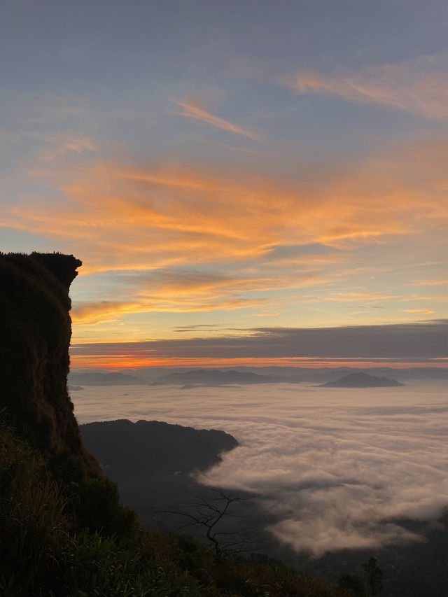 ภูชี้ฟ้า | เชียงราย ⛰️☀️🌳☁️