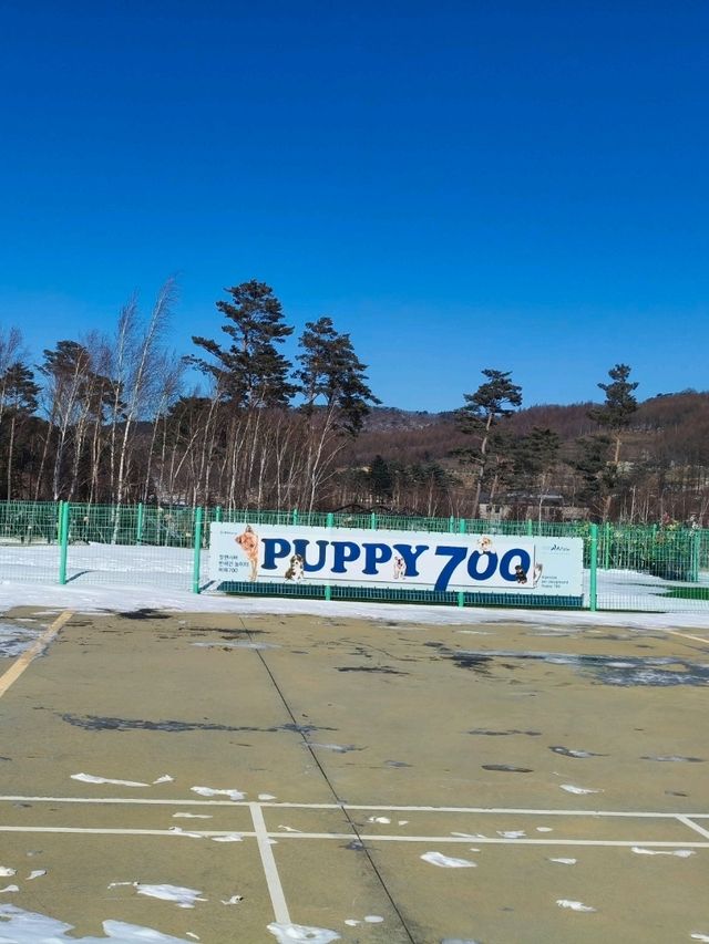 Discover Pyeongchang Alpensia Outside the Kids playground and Pet Zoo