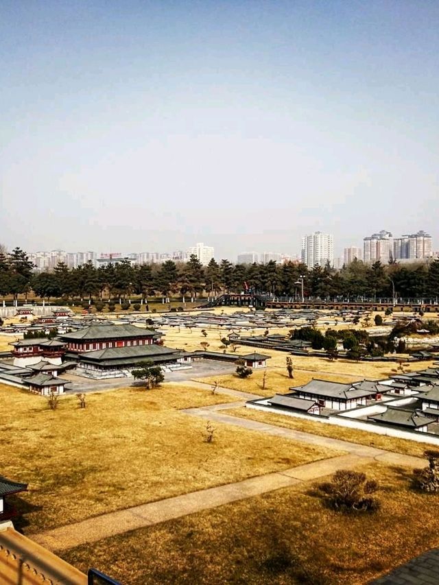 📍Daming Palace 📍Daming Palace