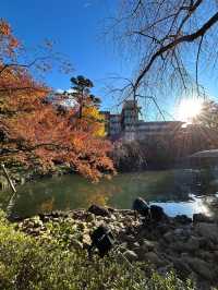 「八芳園」是一個很棒的賞楓景點